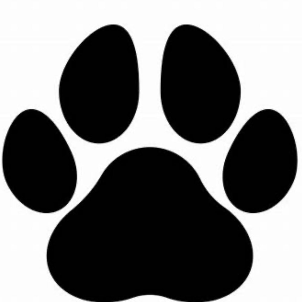 Meet your Posher, Sonja